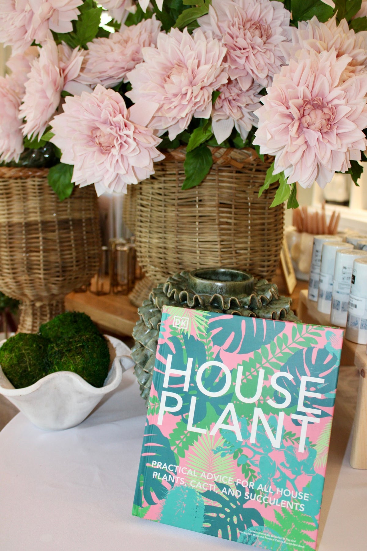 Houseplant