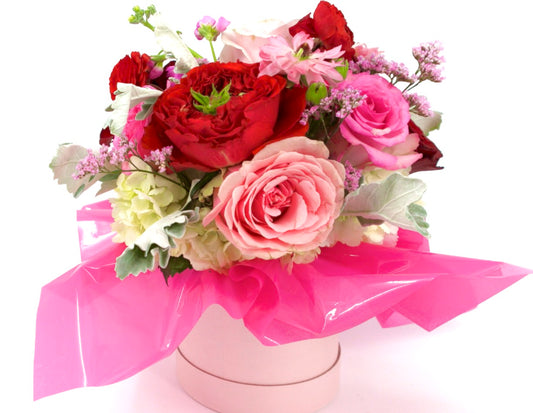 Maria Bloom Flower Box