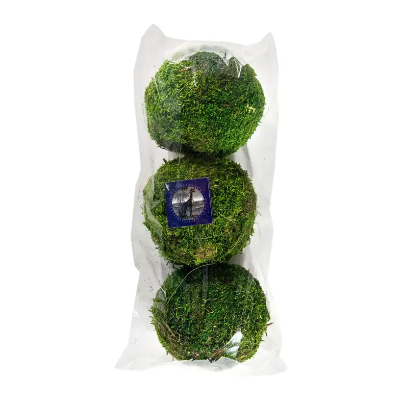 Moss Balls 2-pack