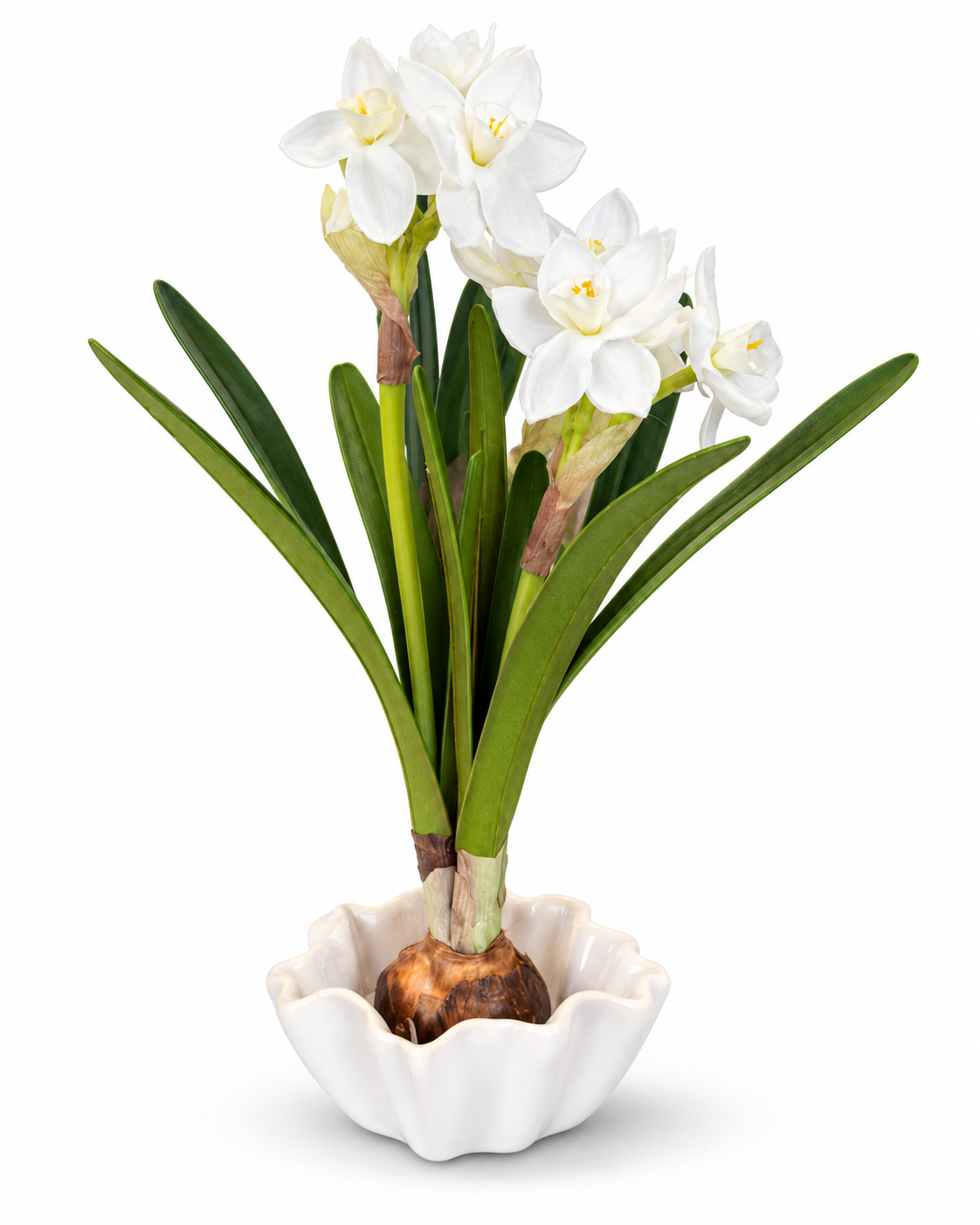 Real Touch White Narcissus 13” with Miniature White Vessel