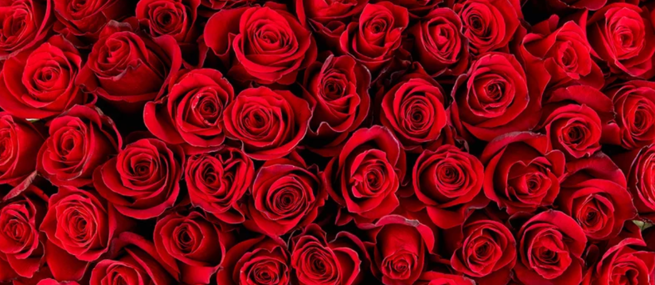 Bloom and Go Bouquet - *Exclusive for Valentine's Day