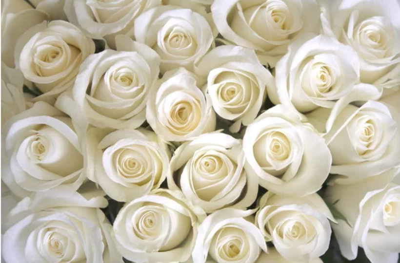 Bloom and Go Bouquet - *Exclusive for Valentine's Day