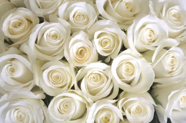 Bloom and Go Bouquet - *Exclusive for Valentine's Day