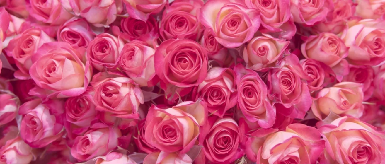 Bloom and Go Bouquet - *Exclusive for Valentine's Day