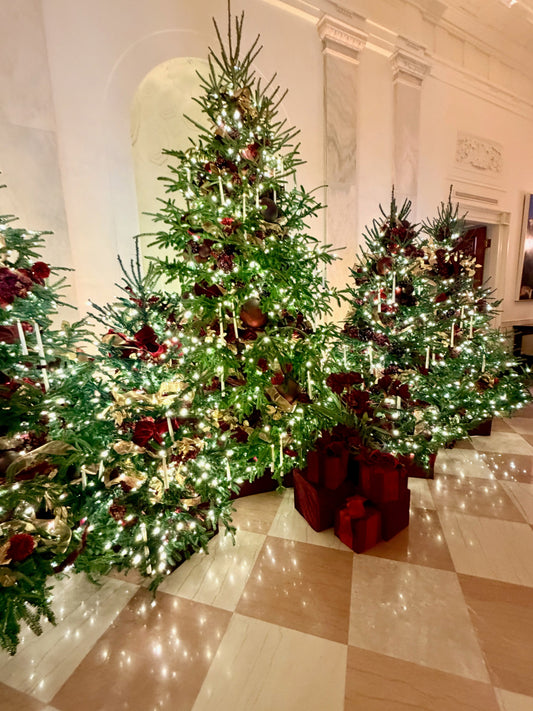 Glow at the White House