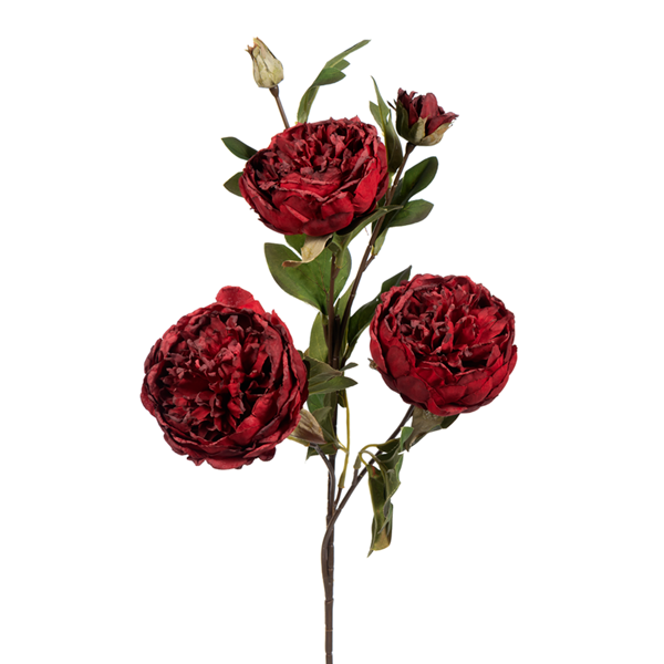 25" Large Peony Spray