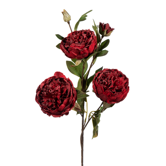 25" Large Peony Spray