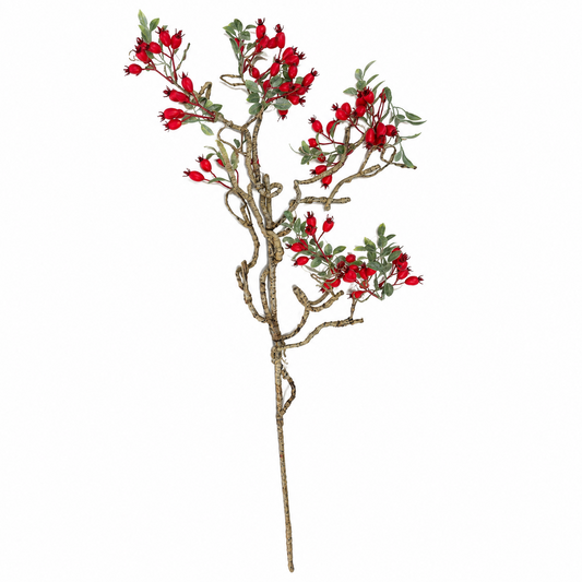 44" Rose Hip Spray