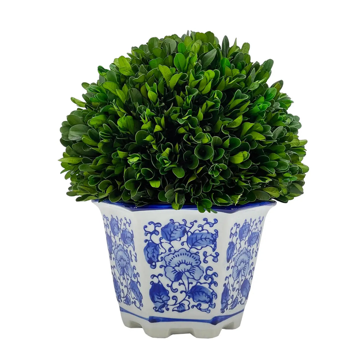 Boxwood Ball Topiary in Hexagon Blue & White Ceramic Pot