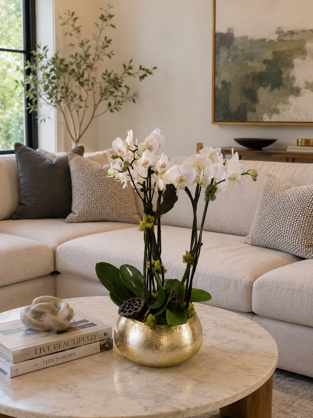 The Orchid Plant