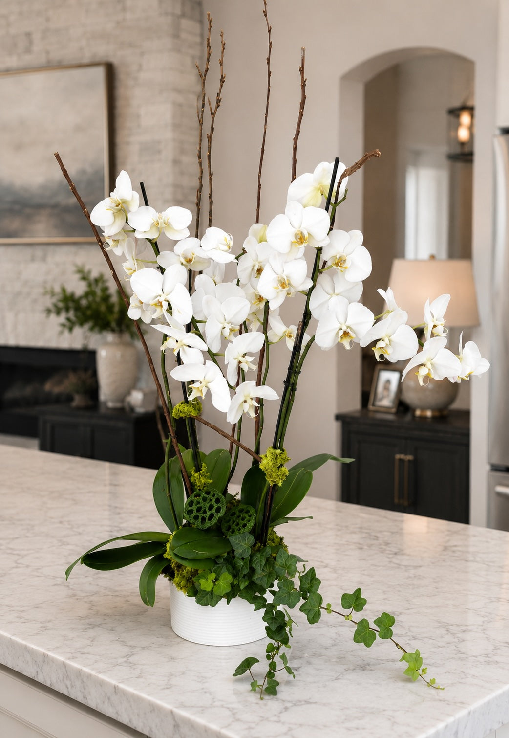 Bid Day Orchid Plant