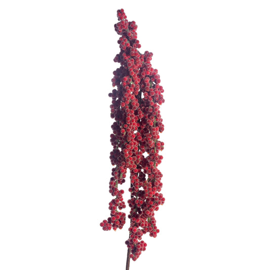 Hanging Berries Red