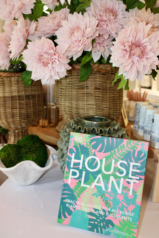 Houseplant