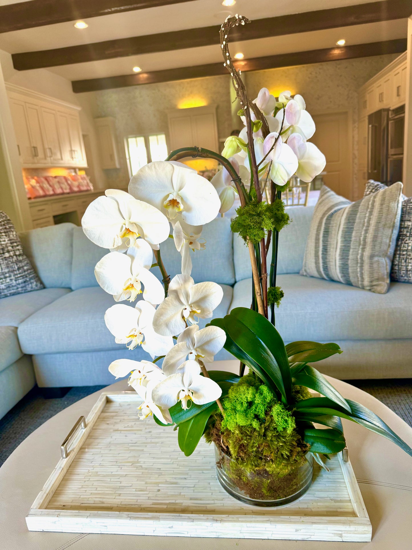The Orchid Collection