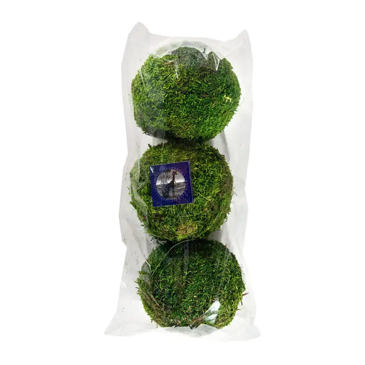 Moss Balls 2-pack