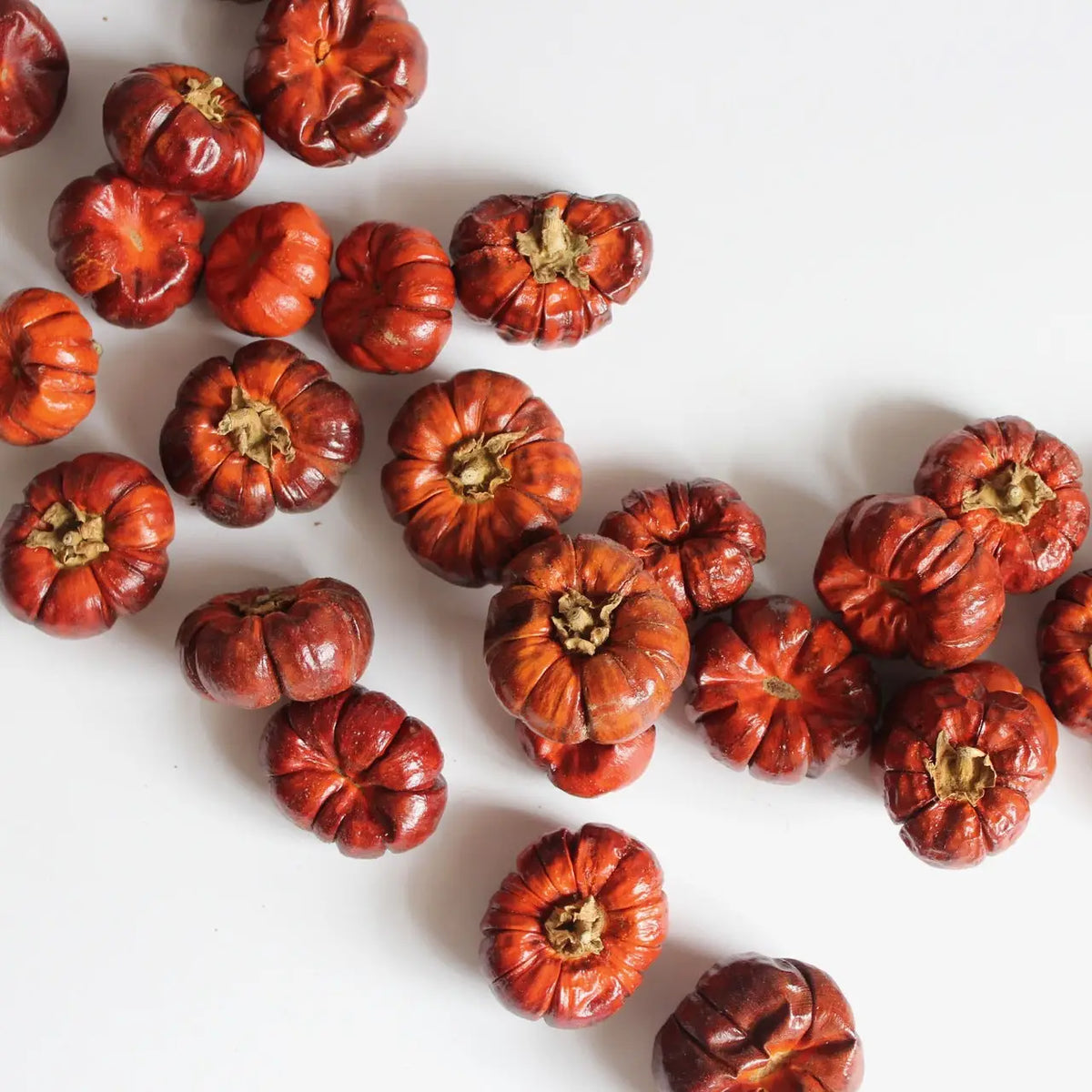 Pumpkin Pepper (Mini) - Dried