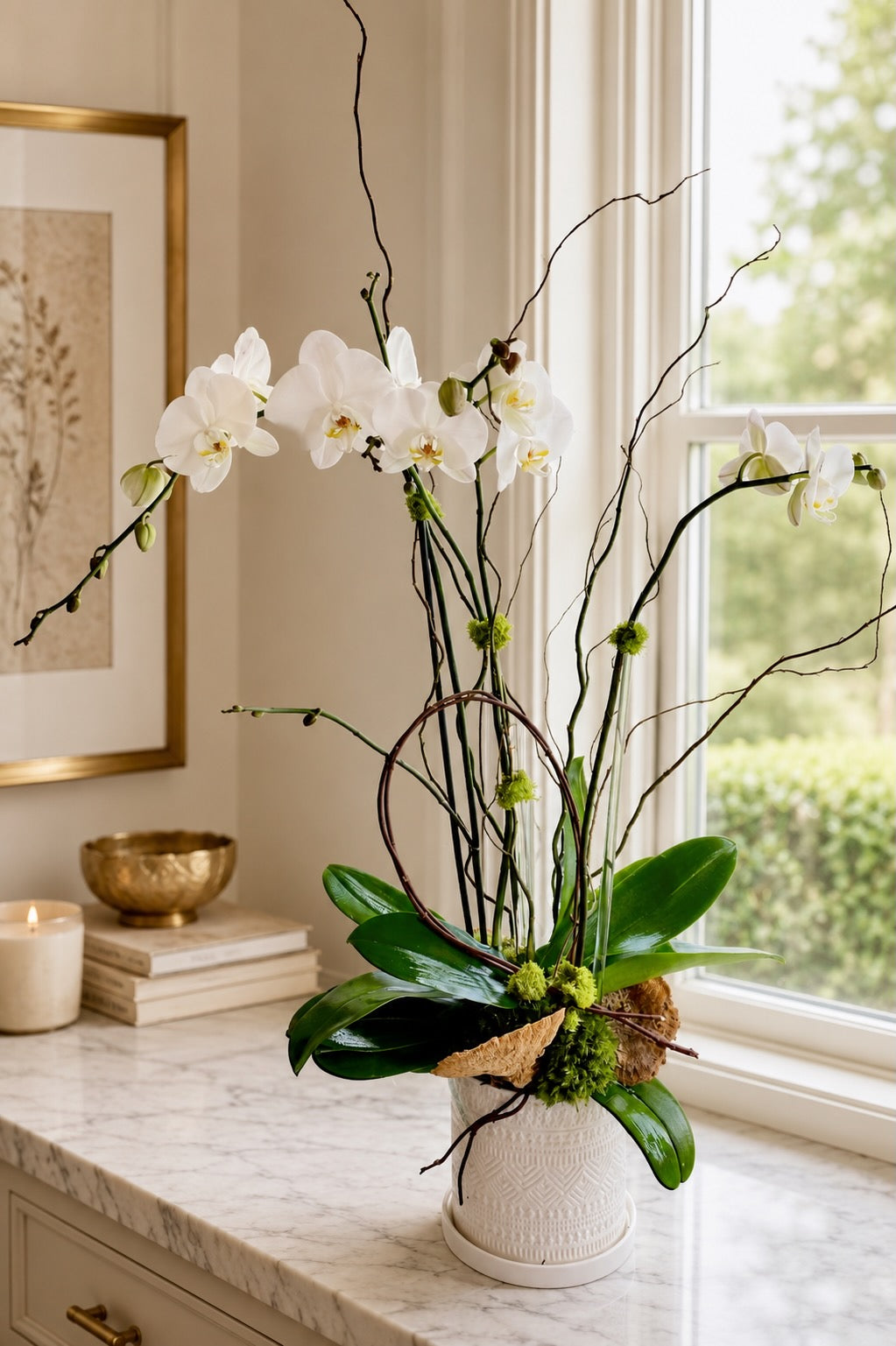 The Orchid Collection