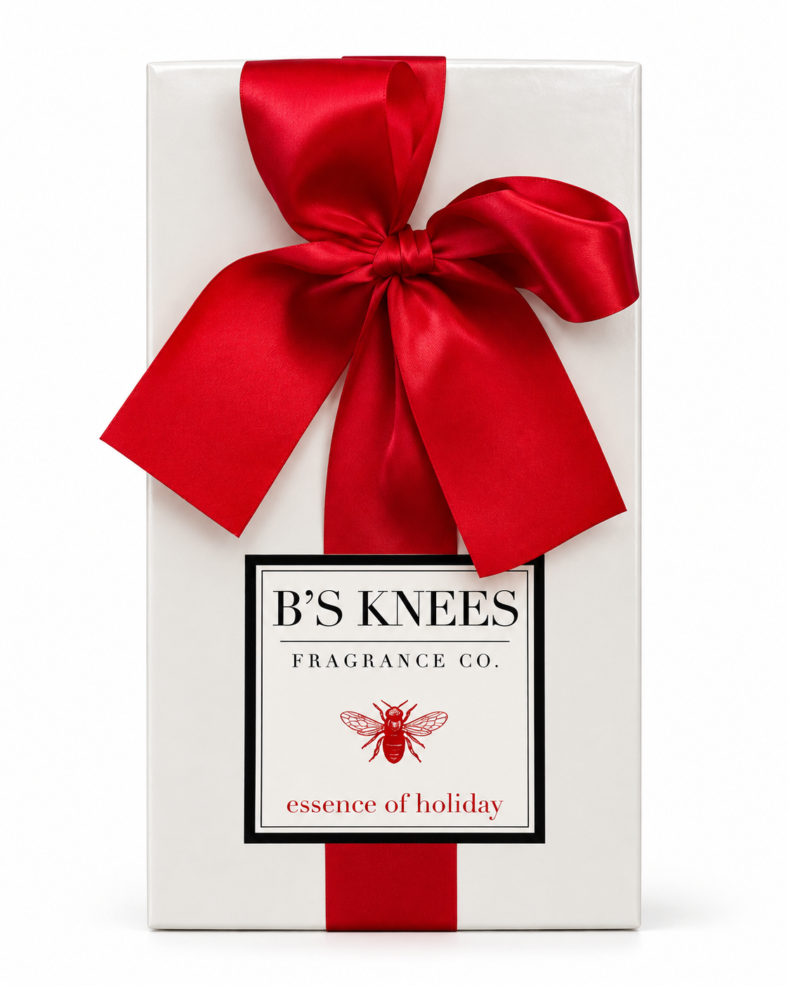 Bubble Diffuser - Essence of Holiday